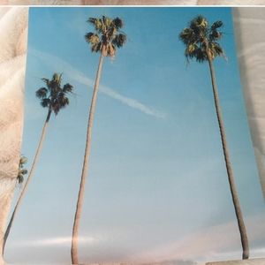 Palm tree poster